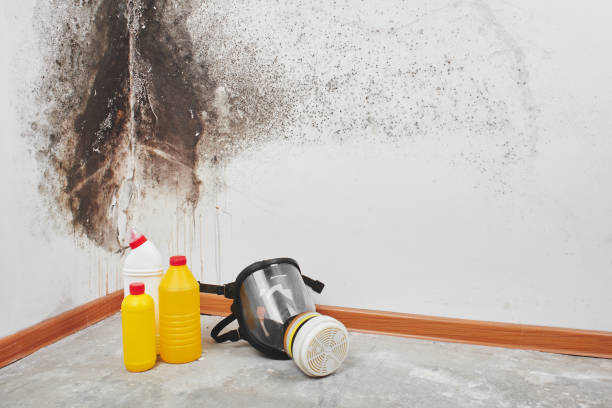 Best Mold Cleaning Services  in Heritage Pines, FL