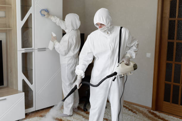 Best Residential Mold Removal  in Heritage Pines, FL