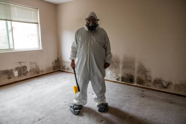 Best Fast Mold Removal  in Heritage Pines, FL